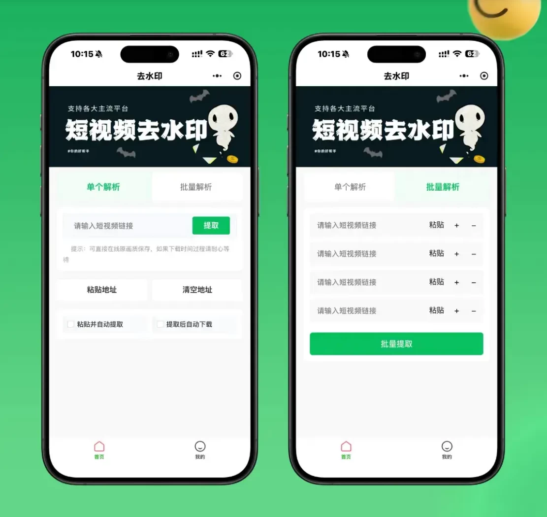 2026最新去水印小程序源码 v1.6.5 带流量主 第1张